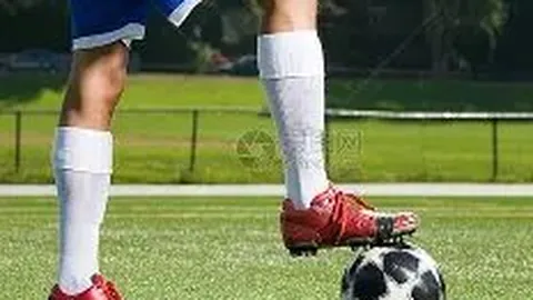 中国女排再创辉煌，十连胜提前锁定世界杯冠军