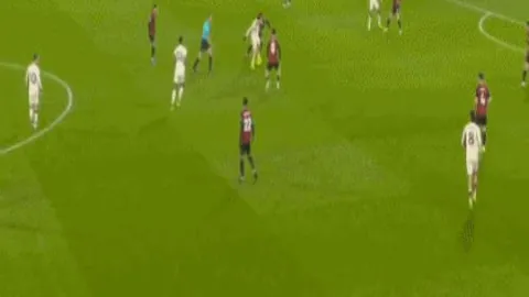 莱斯特城队官方确认 范尼担任球队主帅