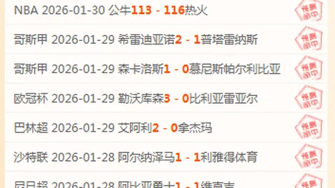 激情对决！梅斯vs里昂，法甲焦点战一触即发，比分揭晓！